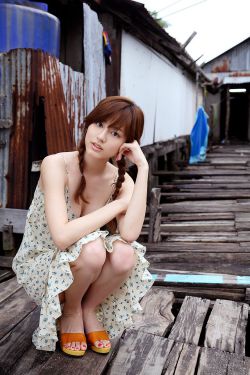 丛林有情狼