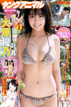 淋漓尽致3